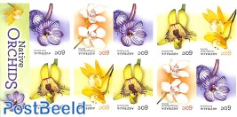 Native Orchids foil booklet