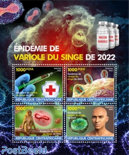 2022 monkeypox outbreak