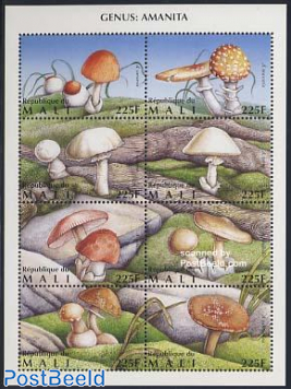 Mushrooms 8v m/s (8X225f)