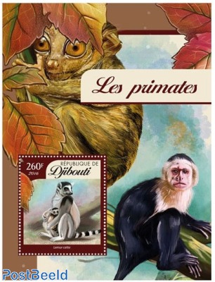 Primates