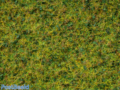 Master Grass Blend ~ Cow Pasture 2,5-6mm (50g)